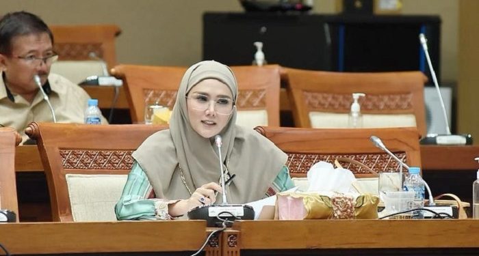 Mulan Jameela Bersyukur Program Kompor Listrik Dibatalkan