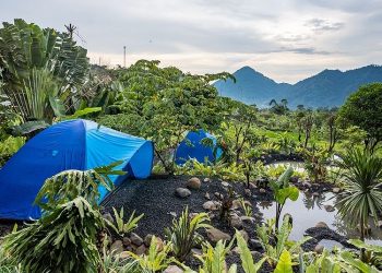 Staycation Yuk, Ini Rekomendasi Tempat Camping di Sentul Bogor