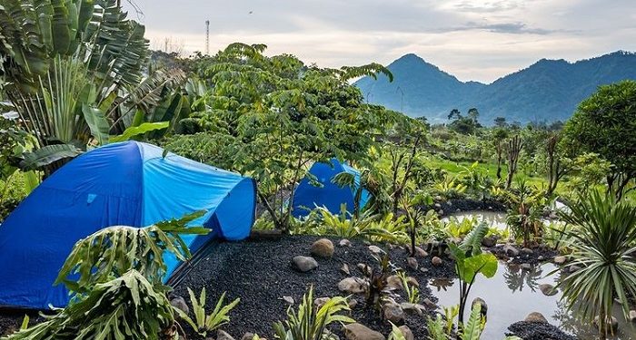 Staycation Yuk, Ini Rekomendasi Tempat Camping di Sentul Bogor