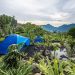 Staycation Yuk, Ini Rekomendasi Tempat Camping di Sentul Bogor