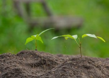 Banyak Bersyukur Dapat Memperbaiki Keshalehan
