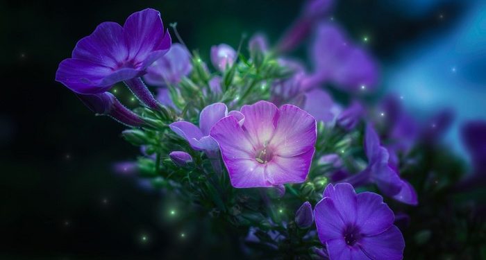 Sikap Istri Terhadap Harta Suami