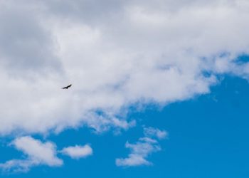 Tetap Semangat Beribadah di saat Sendiri