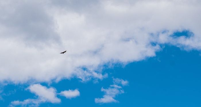 Tetap Semangat Beribadah di saat Sendiri