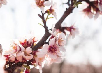 Jangan Suka Mencampuri Urusan Orang Lain