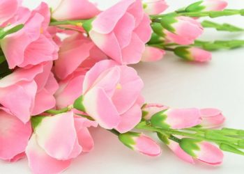 Kisah Pencuri dan Malik Ibnu Dinar