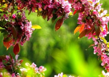 Jauhilah Melakukan Dosa yang Tersembunyi