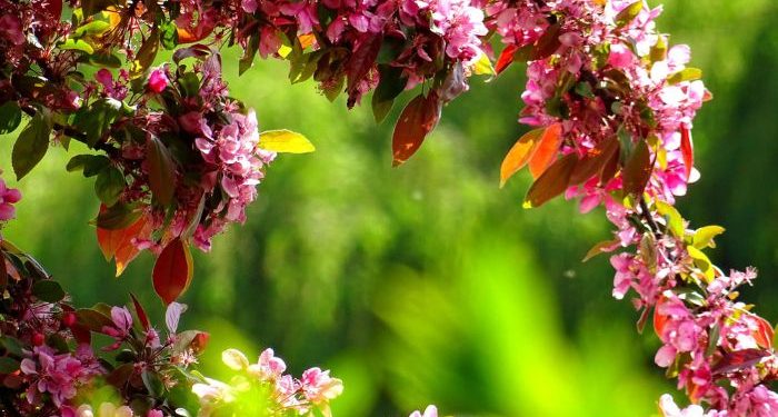 Jauhilah Melakukan Dosa yang Tersembunyi