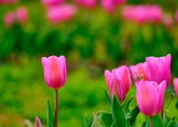 4 Penyebab Lemahnya Iman