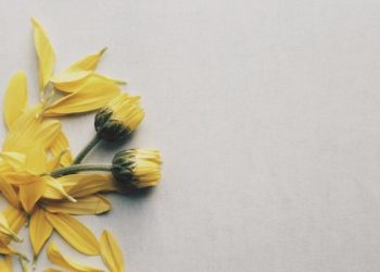 Anjuran musyawarah dari Rasulullah