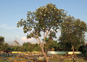 Penghuni kubur menjawab salam peziarah