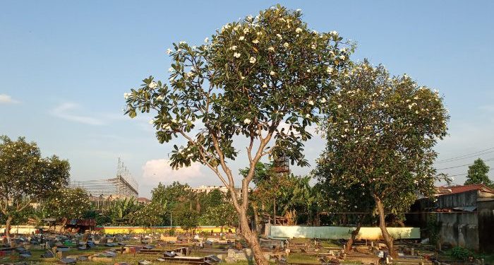 Penghuni kubur menjawab salam peziarah