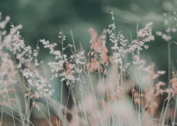 Jangan memberat-beratkan diri ketika beribadah