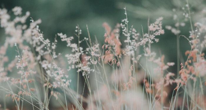 Jangan memberat-beratkan diri ketika beribadah