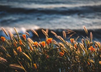 Mengingkari Kemungkaran dengan Perkataan yang Baik