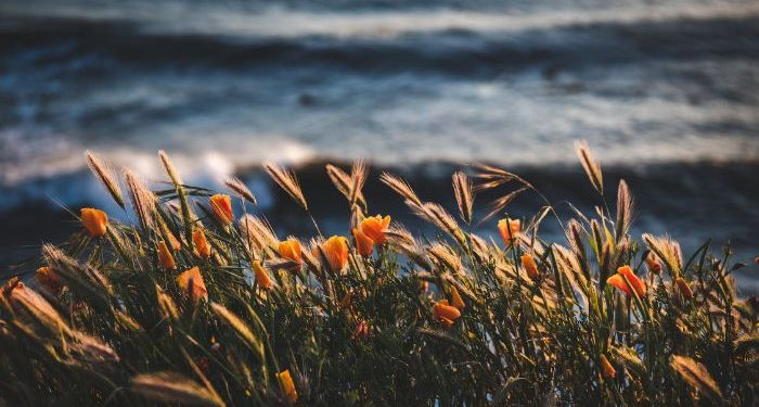 Mengingkari Kemungkaran dengan Perkataan yang Baik