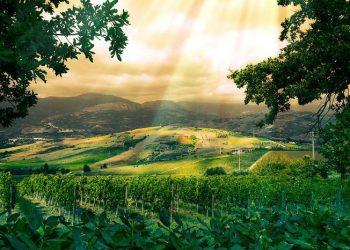 Asmaul Husna Al-Mukmin, Allah Maha Terpercaya atas Segala Janji-Nya