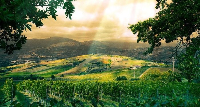 Asmaul Husna Al-Mukmin, Allah Maha Terpercaya atas Segala Janji-Nya