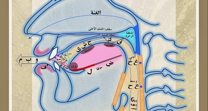 Pengertian dan Macam-Macam Makhorijul Huruf, Tempat-Tempat Keluarnya Huruf