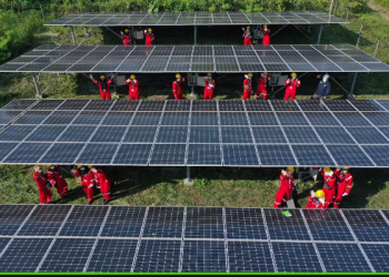 Mengenal green jobs dan potensinya di Indonesia