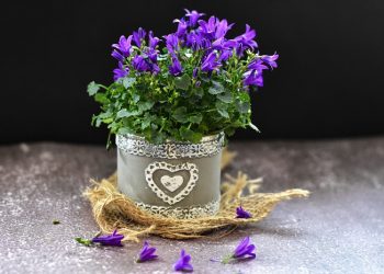 Ruqyah Benda Mati, Bolehkah?