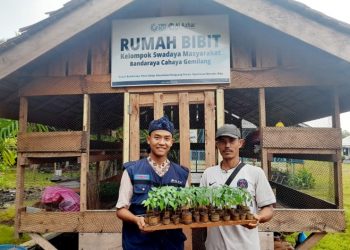 Dukung Ketahanan Pangan Nasional, Warga Kepulauan Meranti Dapat Ratusan Bibit Cabai