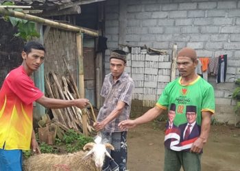 Peternak Domba Binaan LAZ Al Azhar yang Keuntungannya Meningkat