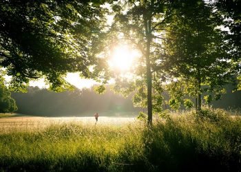 An-Nur Ayat 30-31, Laki-Laki dan Perempuan Bekerjasama Menjaga Kebersihan Sosial
