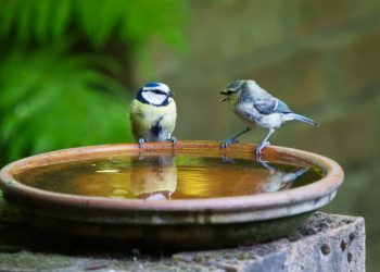 Obati Depresi dengan Terapi Dialog dan Kisah Al-Qur'an