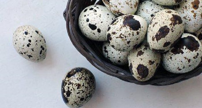 Level Kolesterol Telur Ayam vs Telur Puyuh, Mana yang Lebih Tinggi?