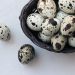 Level Kolesterol Telur Ayam vs Telur Puyuh, Mana yang Lebih Tinggi?