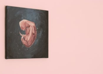 Maasya Allah, Janin Mulai Berbentuk Manusia setelah Berusia 42 Hari