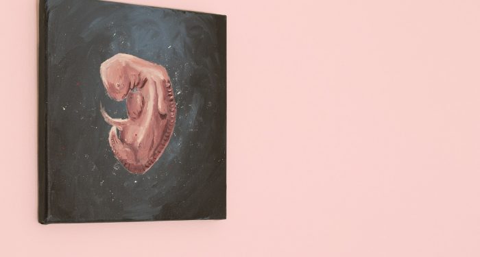 Maasya Allah, Janin Mulai Berbentuk Manusia setelah Berusia 42 Hari