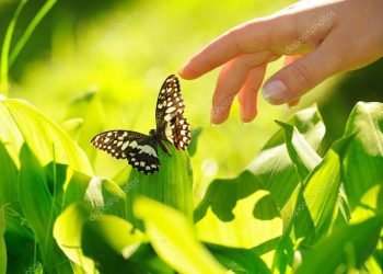 Hati-hati, Kita Tidak Hidup Sendiri