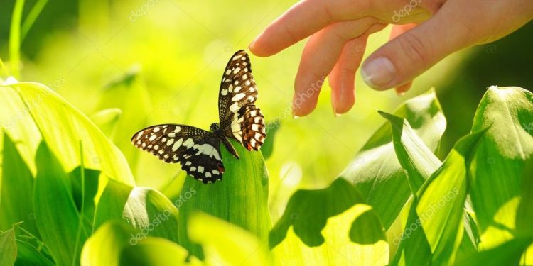 Hati-hati, Kita Tidak Hidup Sendiri