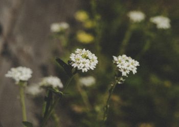 Berdosa hanya merugikan diri sendiri