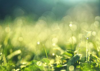 Menjadi umat terbaik dengan menyuruh berbuat kebaikan dan mencegah kemungkaran