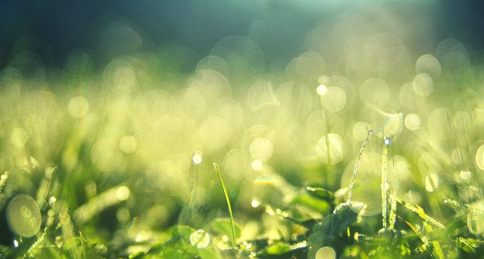 Menjadi umat terbaik dengan menyuruh berbuat kebaikan dan mencegah kemungkaran