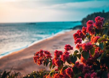 Suami Istri Membangun Keluarga Berkualitas