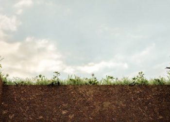 Orang-Orang yang Dibebaskan dari Azab Kubur