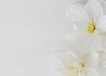 Sifat manusia yang dikhawatirkan malaikat