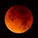 Gerhana Bulan Total Pada 8 November 2022, Siapkan Diri untuk Shalat Gerhana