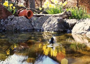 Cara Rasulullah Refreshing Melepas Penat