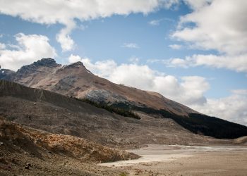 Cara Khalifah Umar bin Khattab Menghadapi Resesi Ekonomi