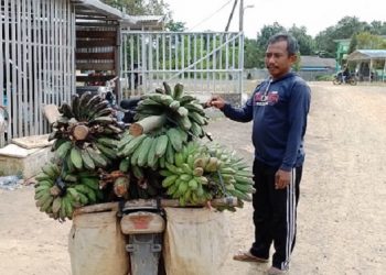 Berkah Zakat, Mantan Pendulang Emas Ilegal Kini Mandiri
