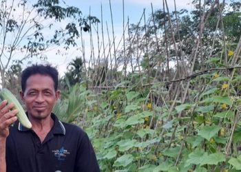 Kisah Buruh yang Kini Raup Jutaan Rupiah dari Hasil Pertanian