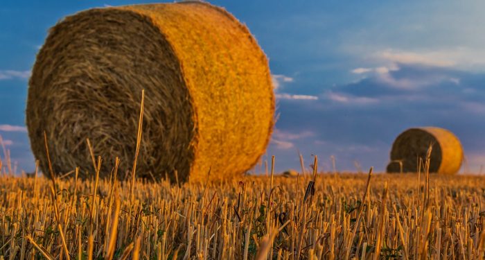 Utsmani Penyelamat Resesi