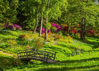 Jadilah Jembatan Kebaikan