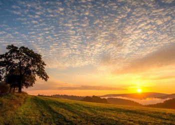 Belajar dari Putaran ‘Hidup’ Matahari