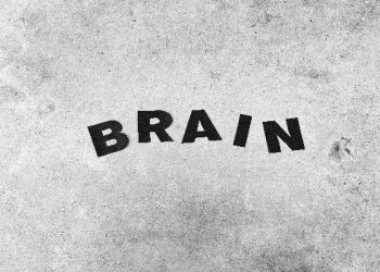 Tes otak kanan dan kiri